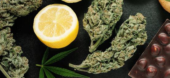 Jak różne produkty spożywcze wchodzą w interakcje z lekami