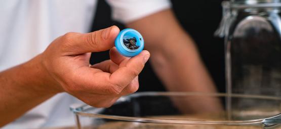 Jak zrobić ekstrakt QWISO z konopi