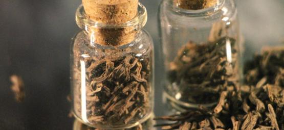 Czym jest korzeń waleriany?