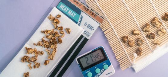 Jak suszyć trufle magiczne