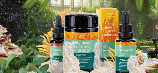 Cordyceps: wszystko, co warto wiedzieć