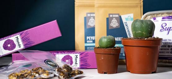 10 najlepszych prezentów dla psychonautów