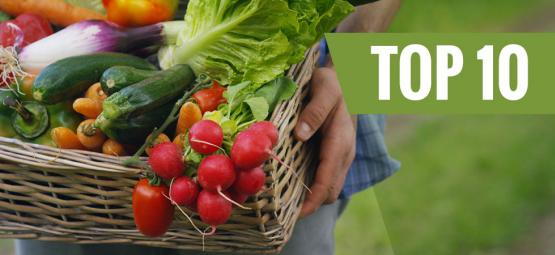 Top 10 najłatwiejszych warzyw do uprawy