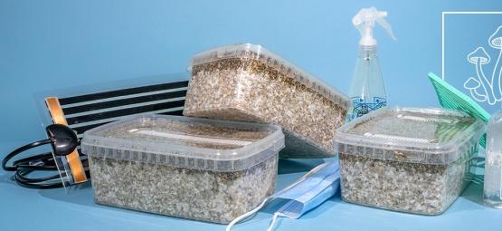 Jak wybrać odpowiedni zestaw do uprawy Grzyby Magiczne