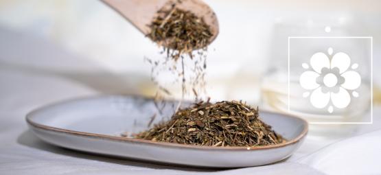 Czym jest estragon meksykański i jak go wykorzystać w kuchni