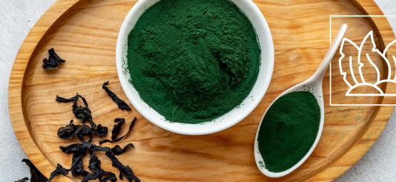 Czy chlorella to idealny superfood?