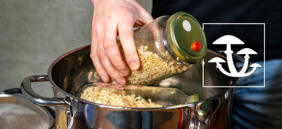 Jak zrobić rozsadę grzybów bez szybkowaru