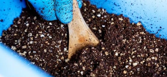 How to przygotować podłoże CVG metodą „bucket tek”