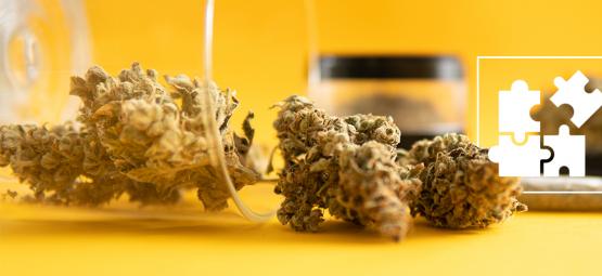 Mikrodawkowanie THC: czym jest i na czym polega?