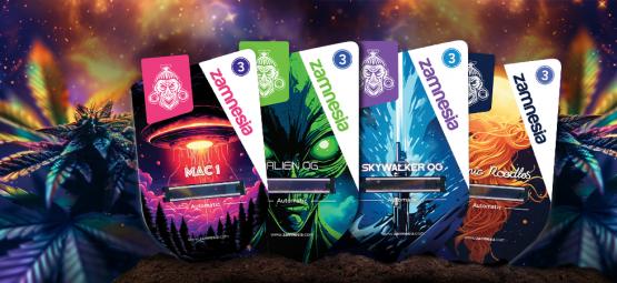 Zamnesia Seeds Show odcinek 1: Galaktyczne rozkosze