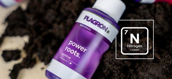 Niedobór azotu: jak go rozpoznać i mu zapobiegać
