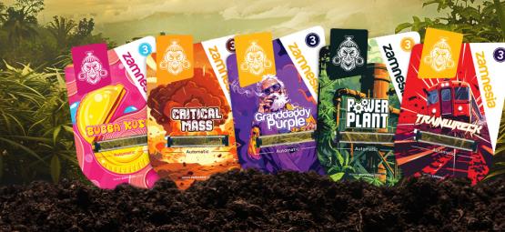 Zamnesia Seeds Show, odcinek 4: Klasyczne legendy