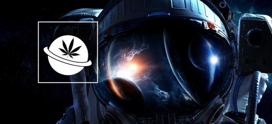 Uprawa konopi w kosmosie