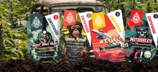 Przegląd odmian Zamnesia: Rozpal swoją wyobraźnię