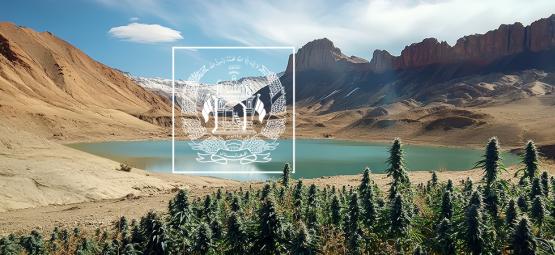 Przeszłość, teraźniejszość i przyszłość afgańskich odmian lądowych konopi