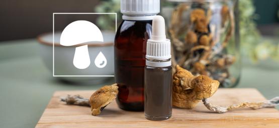 Krople z grzybów: wyczerpujący przewodnik