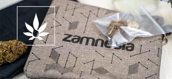 Ewolucja opakowań konopi: od papierowych torebek po luksusowe pudełka