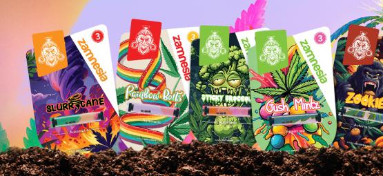 Przegląd odmian Zamnesia: Fiesta smaków