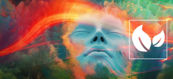 Odkrywanie świata snów z Calea zacatechichi