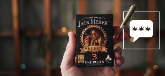 Rozmowa z Danem Hererem