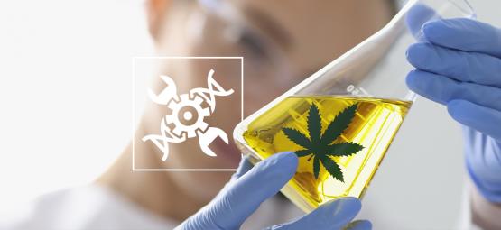 Konopie w biohackingu: Nowatorskie podejście do współczesnego dobrostanu