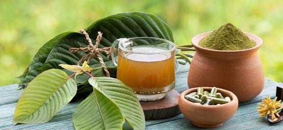 Uzależnienie od kratomu i objawy odstawienia