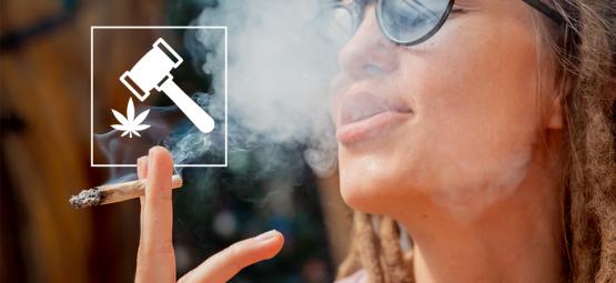 Odkrywając dynamicznie rozwijającą się turystykę konopną