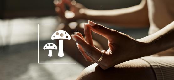 Kompletny przewodnik po biohackingu z użyciem grzybów psychodelicznych i funkcjonalnych