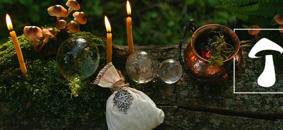 Kim byli druidzi i czy korzystali z grzybów halucynogennych?