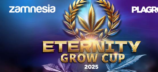 Eternity Grow Cup 2025: święto najlepszych upraw tego roku