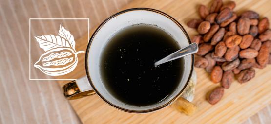 Aztecki combo: połączenie psylocybiny z kakao