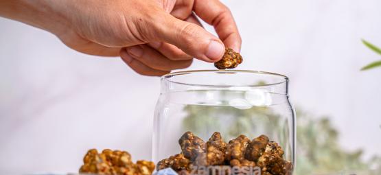 Jak przechowywać magiczne trufle?