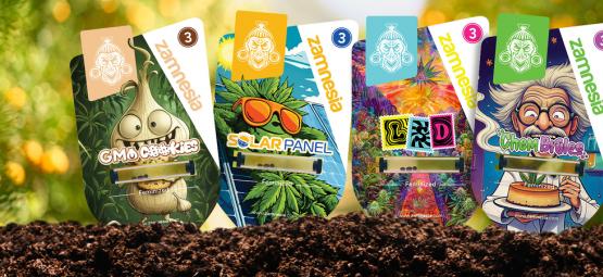 Witamy w Sektorze Z: Tajne odkrycie dotyczące konopi