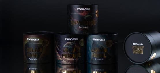 TRIBE w Zamnesia: Uprawiaj to, co rzadkie, odważne i legendarne