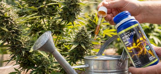 Maksymalizuj wzrost z Monster Buds: kompletna gama nawozów na każdą fazę wzrostu