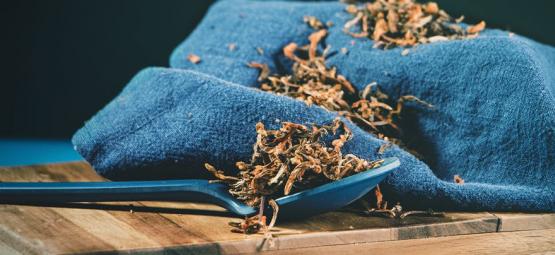 Wild dagga: delikatny, łagodny euforyk