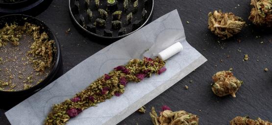 Top 10 alternatyw dla tytoniu w jointach