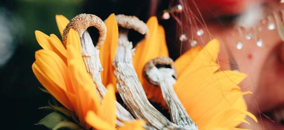 Jak przygotować się do bezpiecznej psychodelicznej podróży