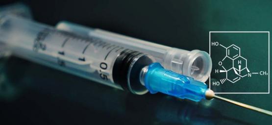 Nowe badania: jak wytworzyć morfinę z cukru i wody