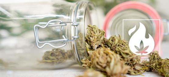 Jak zdekarboksylować konopie: 3 sprawdzone metody