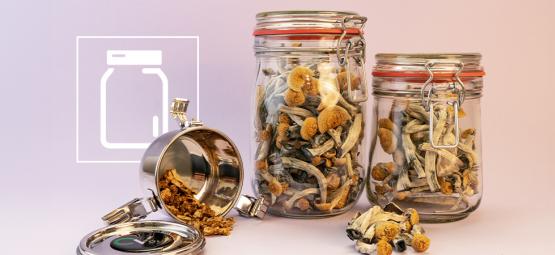 Jak prawidłowo przechowywać grzyby halucynogenne