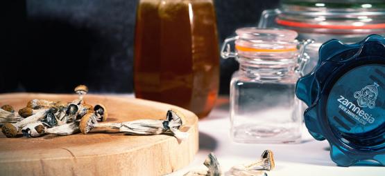 Blue Honey: jak zrobić psychodeliczny miód z Grzybów Magicznych