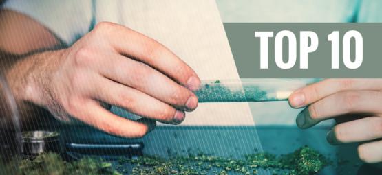 Top 10 powodów, by rzucić tytoń i palić wyłącznie marihuanę