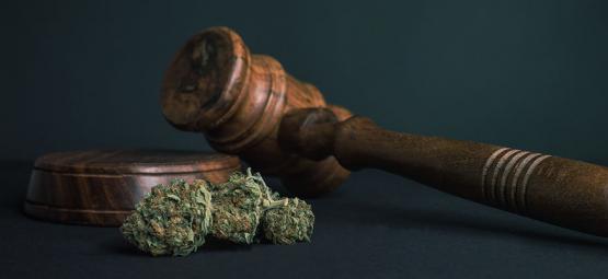 10 powodów, dla których WSZYSTKIE narkotyki powinny zostać zalegalizowane