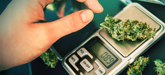 Jak wybrać wagę gramową lub miligramową