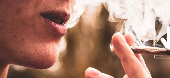 Tolerancja na konopie: czym jest i jak ją obniżyć