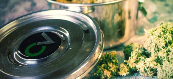 Recenzja produktu: CVault