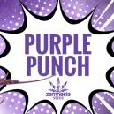 Purple Punch: smak, moc i piękno w jednym