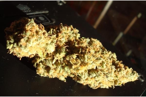 Power Flower (Royal Queen Seeds) nasiona marihuany feminizowane