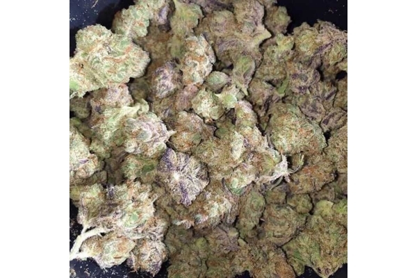 Blueberry Automat (Zamnesia Seeds) feminizowane Blueberry Automat (Zamnesia Seeds) feminizowane